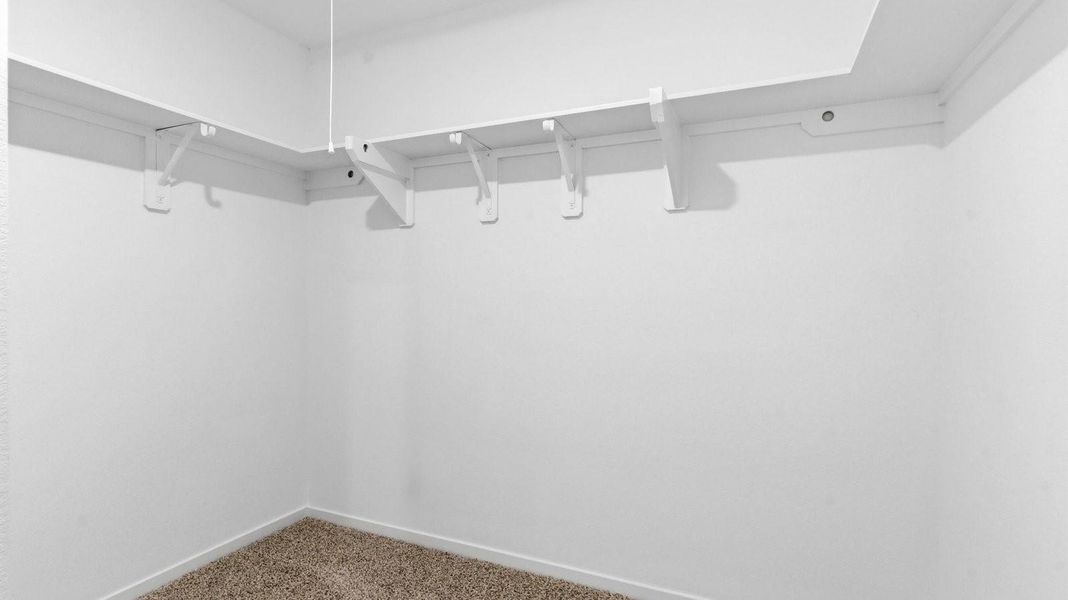 representative photo