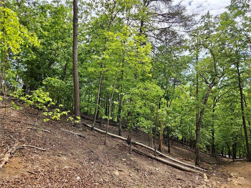 Natural landscape and outdoor views near  in Waleska (Image 32).