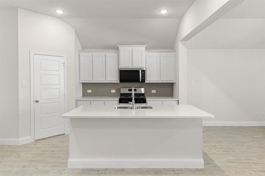 11. 139 Whistling Duck - Kitchen