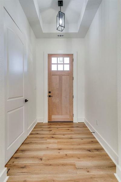 Foyer with a raised ceiling and light hardwood / wood-style floors