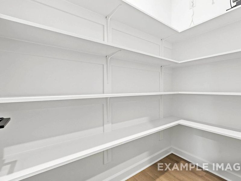 Spacious, unfurnished interior of a new home in Montrose, Aberdeen (Image 19).