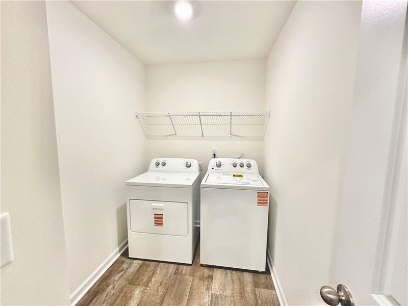 *Photo is from similar Palomino. Actual pics will