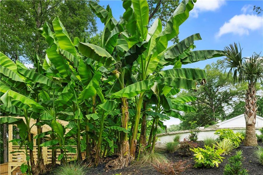 Exterior details and patio area of a home in , Atlanta (Image 46). Exterior details and patio area of a home in , Atlanta (Image 46).