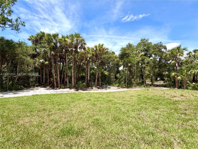 Natural landscape and outdoor views near in Naples (Image 38). Natural landscape and outdoor views near in Naples (Image 38).