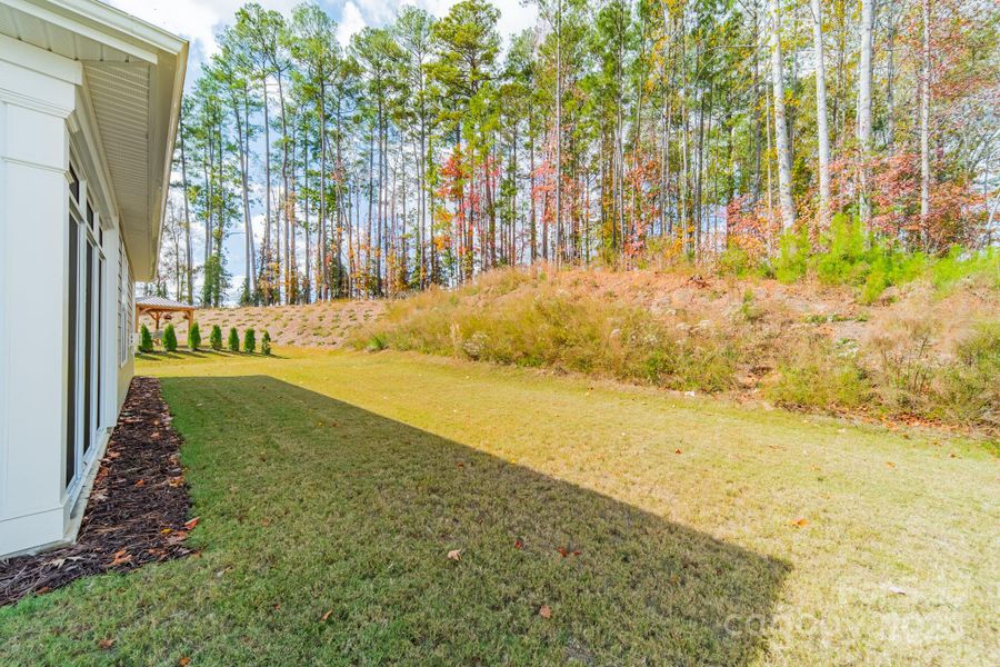 Natural landscape and outdoor views near in Charlotte (Image 31). Natural landscape and outdoor views near in Charlotte (Image 31).