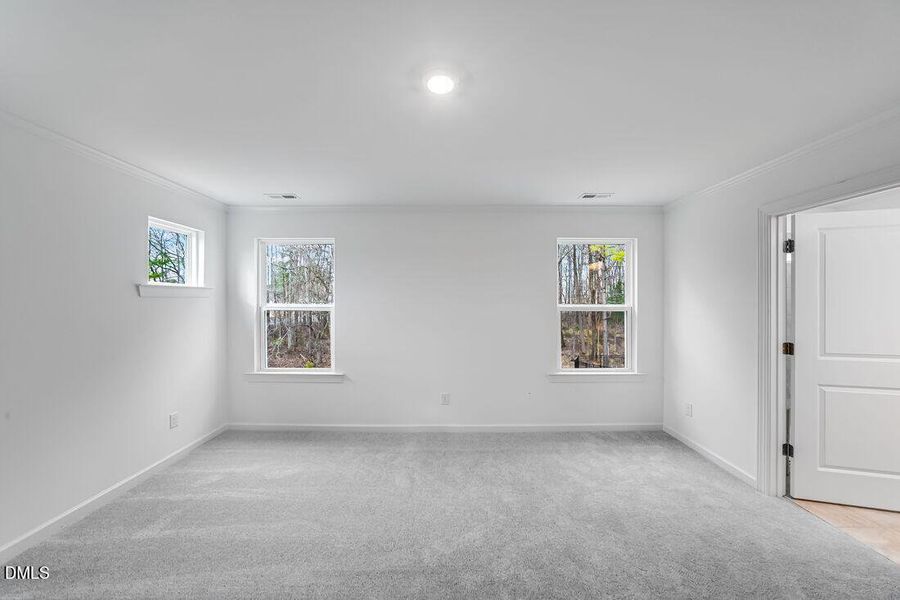 hj-nc-raleigh-eagle-trace-stella-lot-108