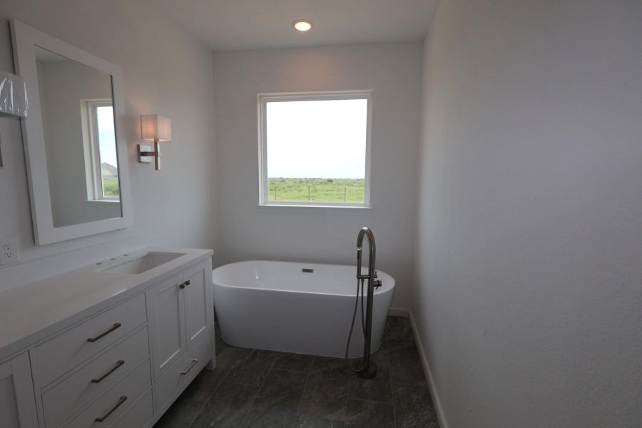 Primary bath - still under construction!