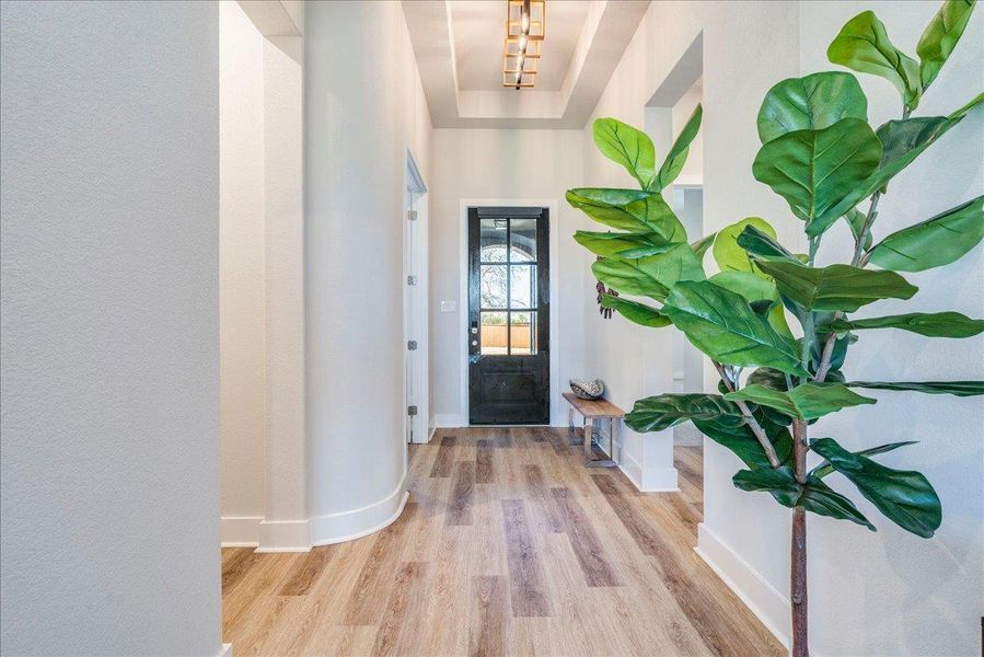 Entryway with light wood finished floors and baseboards Entryway with light wood finished floors and baseboards