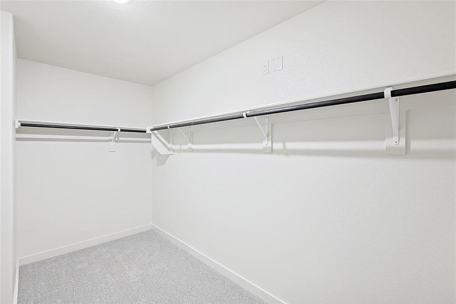 Spacious closet featuring carpet flooring