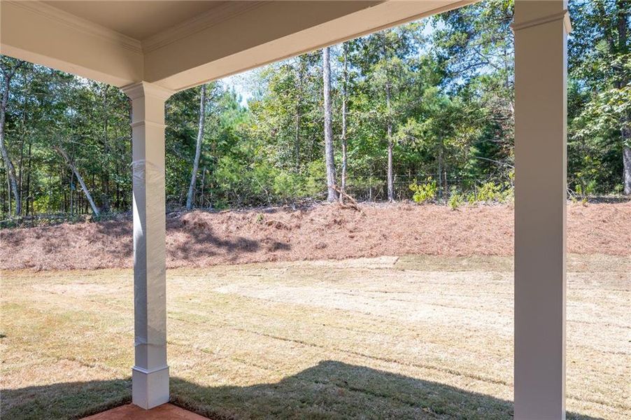 Exterior details and patio area of a home in The Landing at Miller’s Ferry, Adairsville (Image 3). Exterior details and patio area of a home in The Landing at Miller’s Ferry, Adairsville (Image 3).