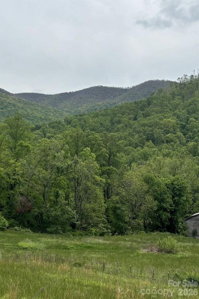 Natural landscape and outdoor views near  in Weaverville (Image 27).
