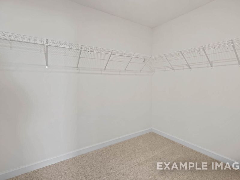 Spacious, unfurnished interior of a new home in Springvale, Willow Spring (Image 16).