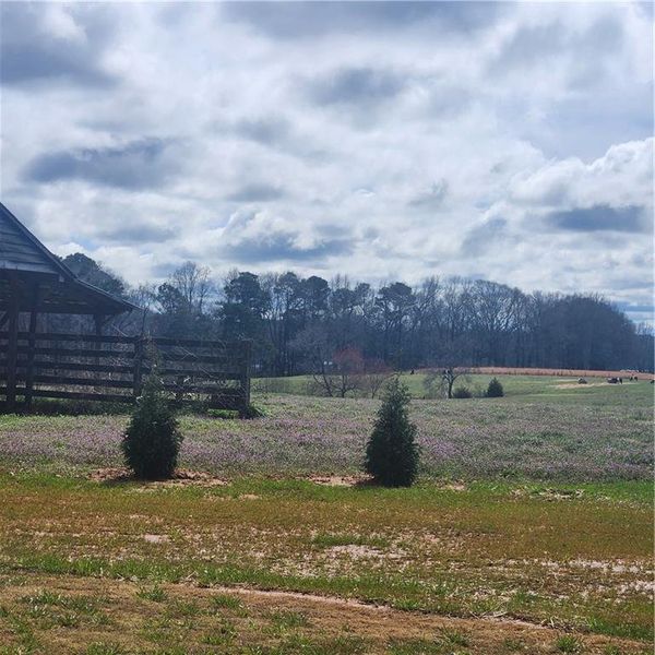 Image 37 of a home in .