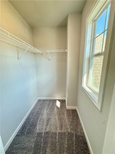 Spacious, unfurnished interior of a new home in Fowler Farms, Auburn (Image 24).