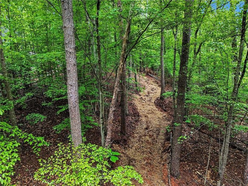 Natural landscape and outdoor views near  in Marietta (Image 27).