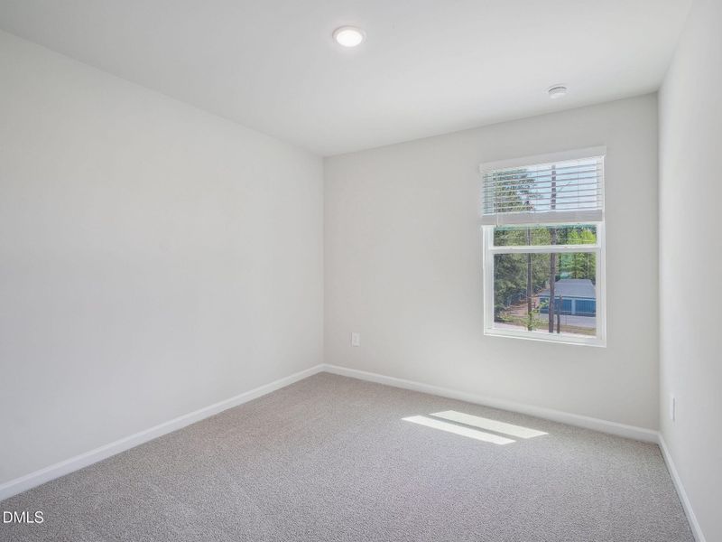 Thorton Finesse (21)