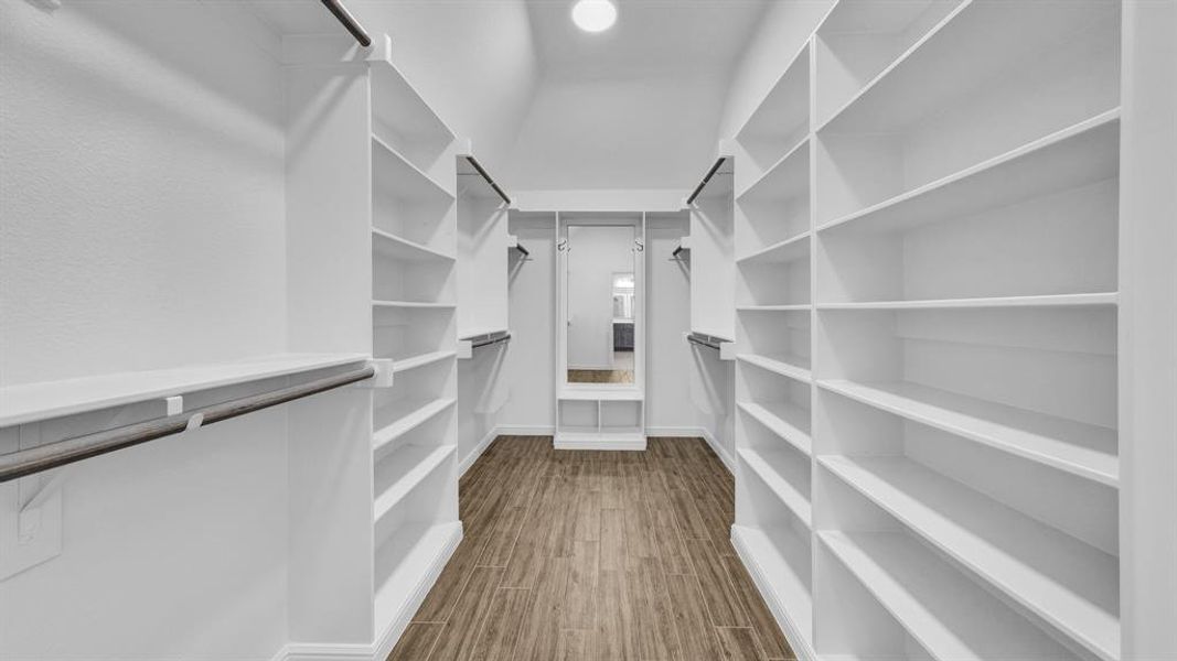 Primary Walk in closet with wood-type flooring