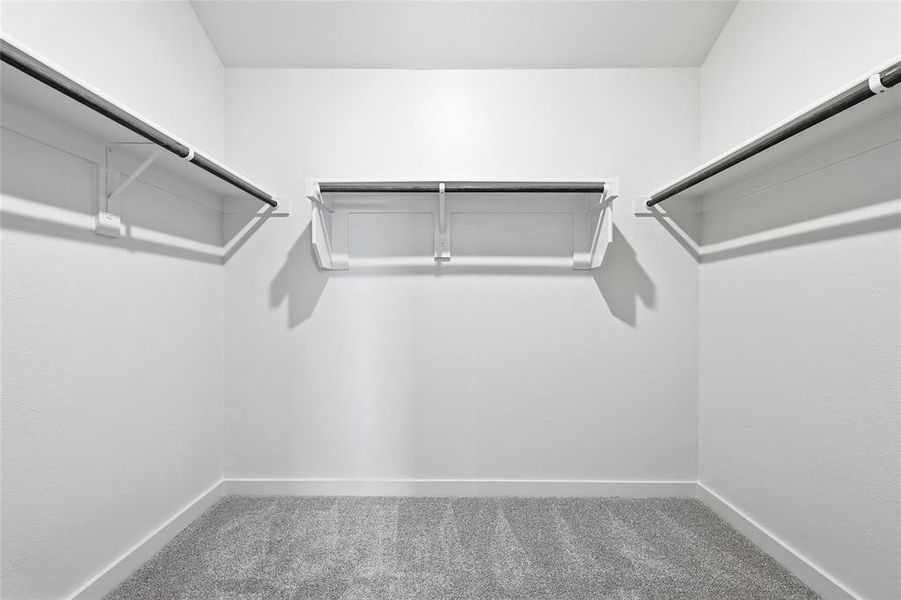 Walk in closet with carpet flooring Walk in closet with carpet flooring