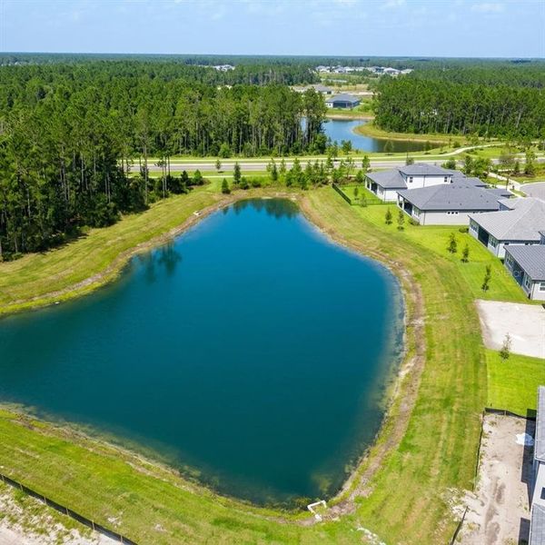 Natural landscape and outdoor views near in Wesley Chapel (Image 24). Natural landscape and outdoor views near in Wesley Chapel (Image 24).