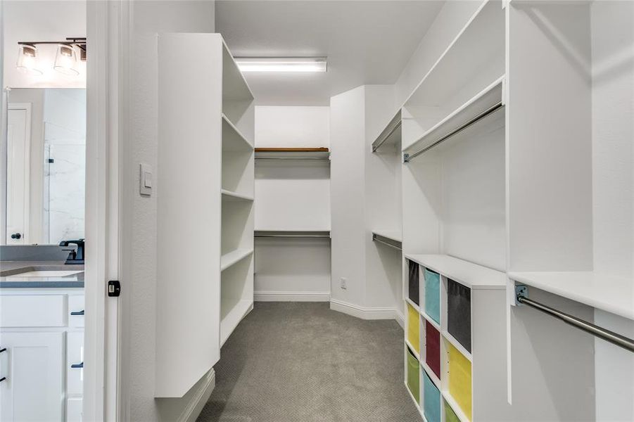 Walk in closet with light colored carpet and a sink