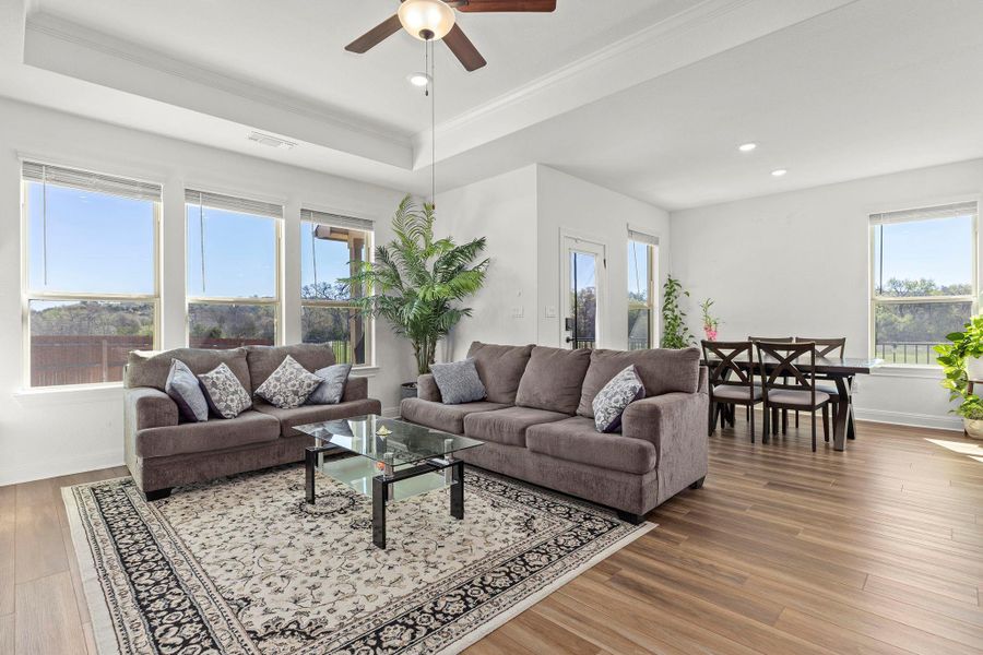 Living room featuring a tray ceiling, plenty of natural light, a ceiling fan, wood-type flooring, and ornamental molding