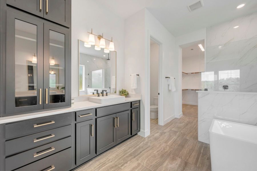 Owner's Bath