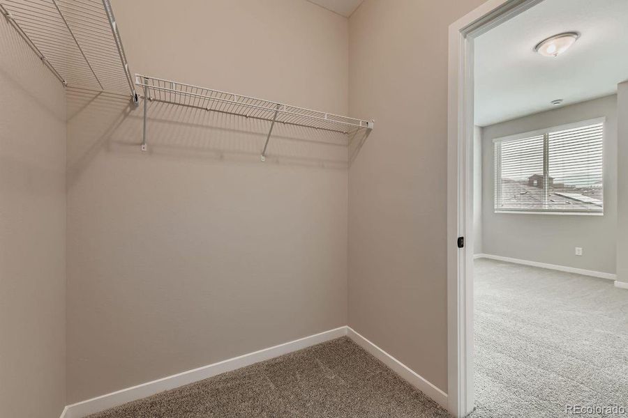 Spacious, unfurnished interior of a new home in , Littleton (Image 17).