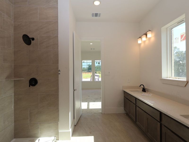 Owner's Bathroom