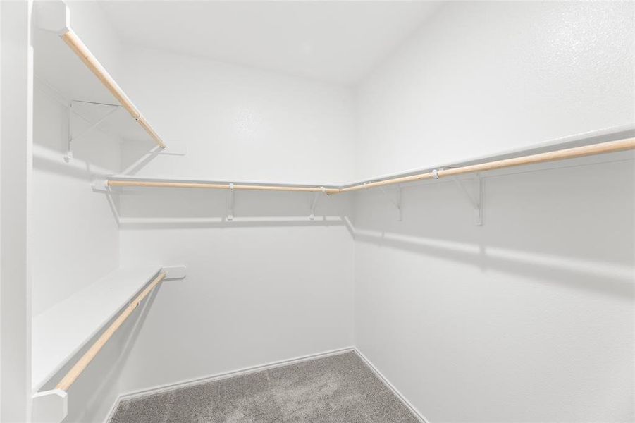 4509 Snakeweed-Primary Suite-3