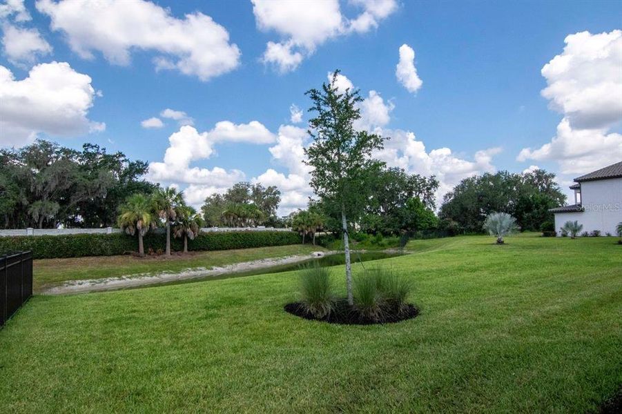 Natural landscape and outdoor views near River's Edge in Wesley Chapel (Image 66).
