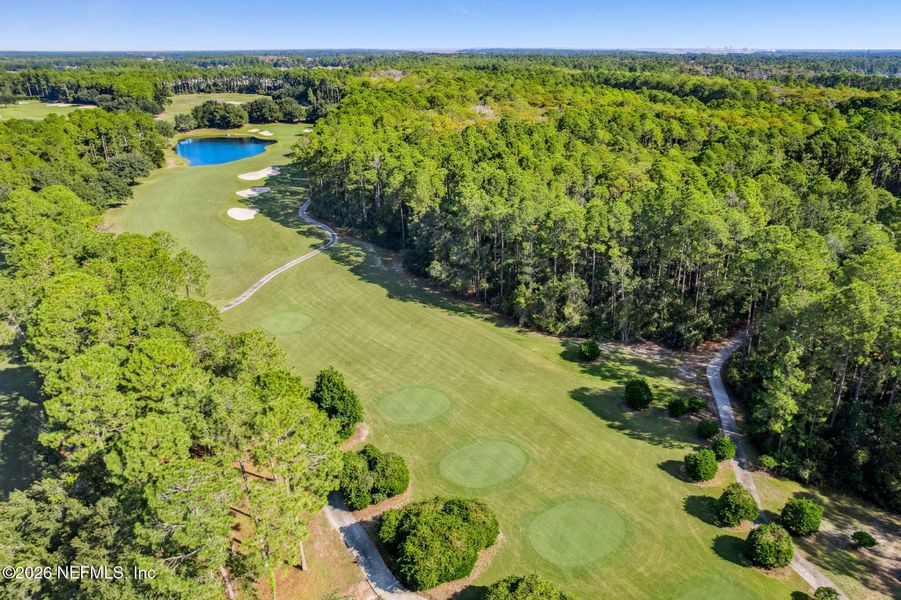 Natural landscape and outdoor views near  in Fernandina Beach (Image 23).