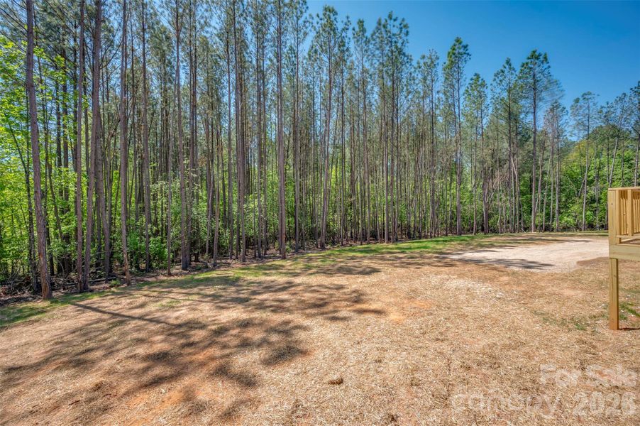 Natural landscape and outdoor views near  in Bostic (Image 31).