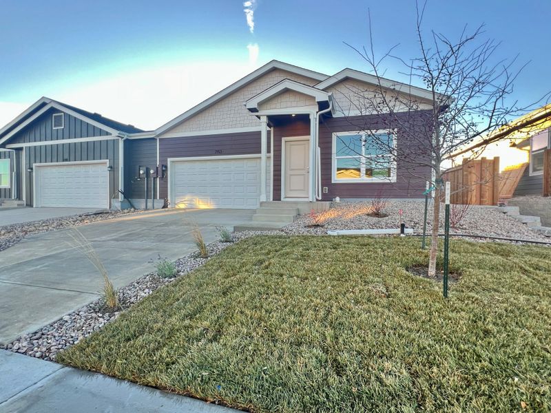 Front exterior of a new home in Sage Meadows, Wellington, CO, highlighting curb appeal (Image 2).