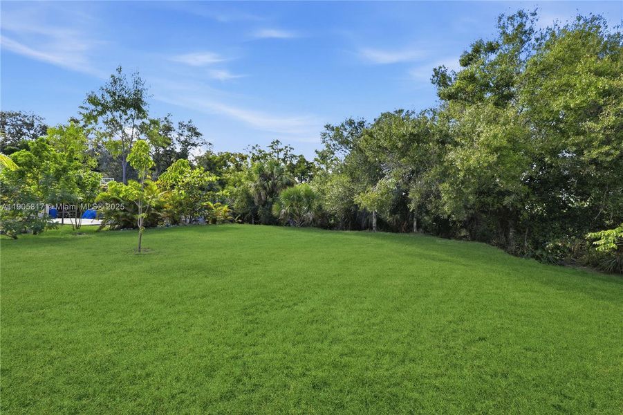 Natural landscape and outdoor views near  in Port Charlotte (Image 27).