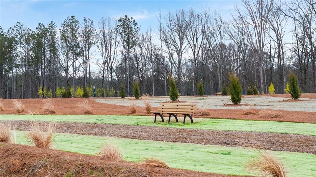 Image 40 of a home in Echo Glen. Image 40 of a home in Echo Glen.