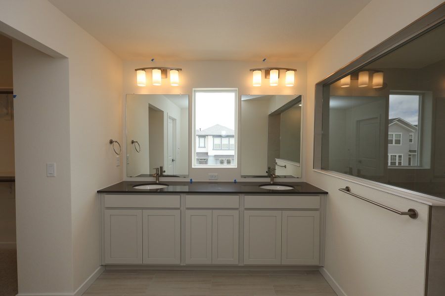 Owner's Bath