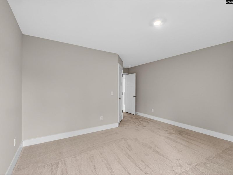 Spacious, unfurnished interior of a new home in Collins Cove, Chapin (Image 38).