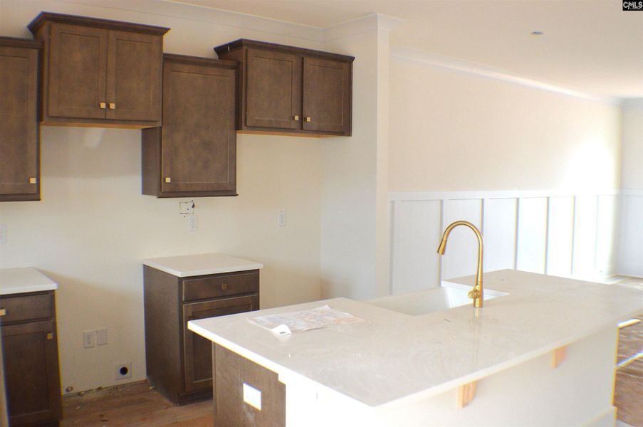 In-progress construction of a new home in Bickley Station, Irmo, SC (Image 5).