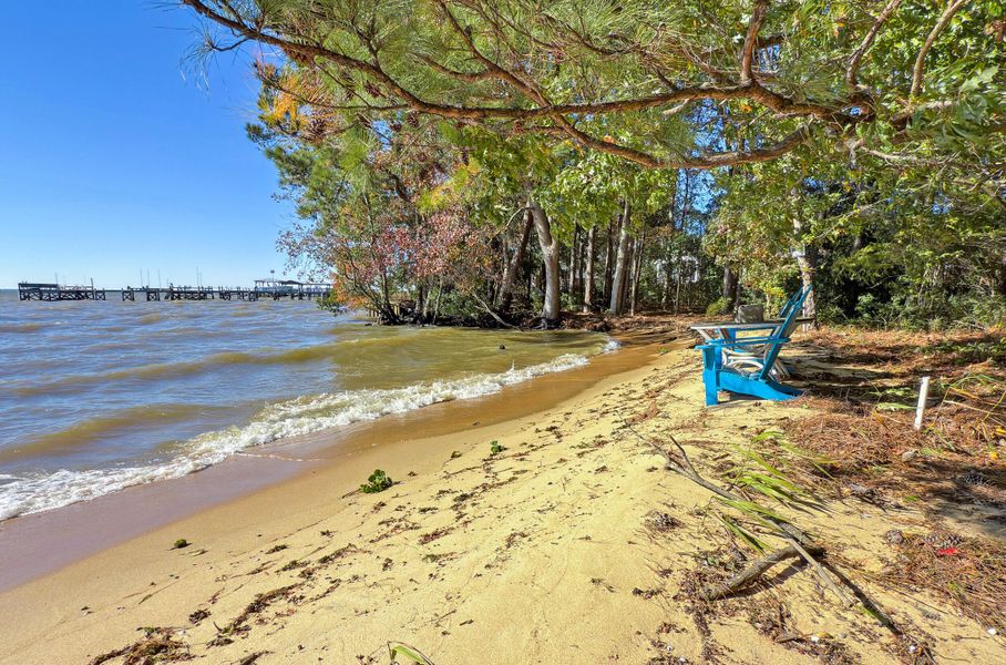 Natural landscape and outdoor views near  in Bonneau (Image 39).