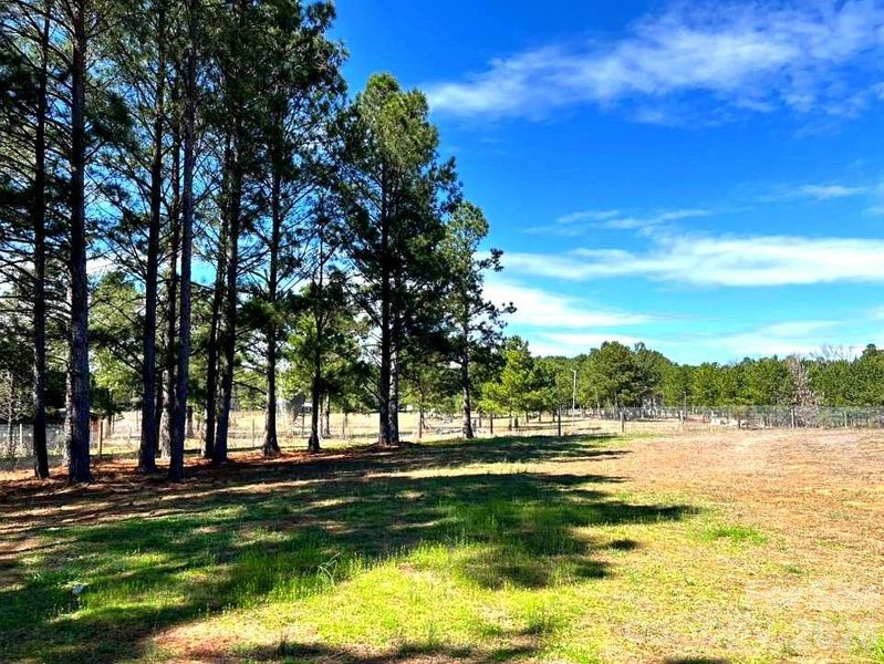 Natural landscape and outdoor views near  in Blackstock (Image 23).