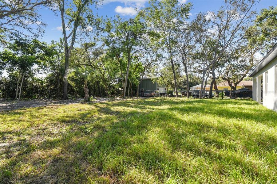 Natural landscape and outdoor views near  in Spring Hill (Image 33).