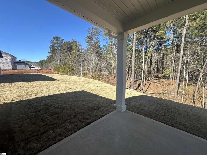 Exterior details and patio area of a home in Shiloh Trail, Wellford (Image 29).