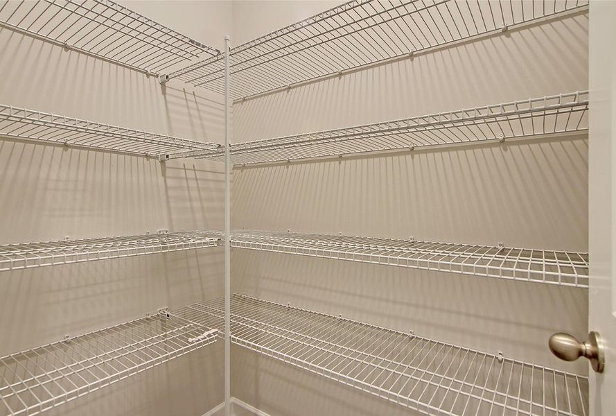 Spacious, unfurnished interior of a new home in Tea Farm: Presidents Series, Ravenel (Image 10).