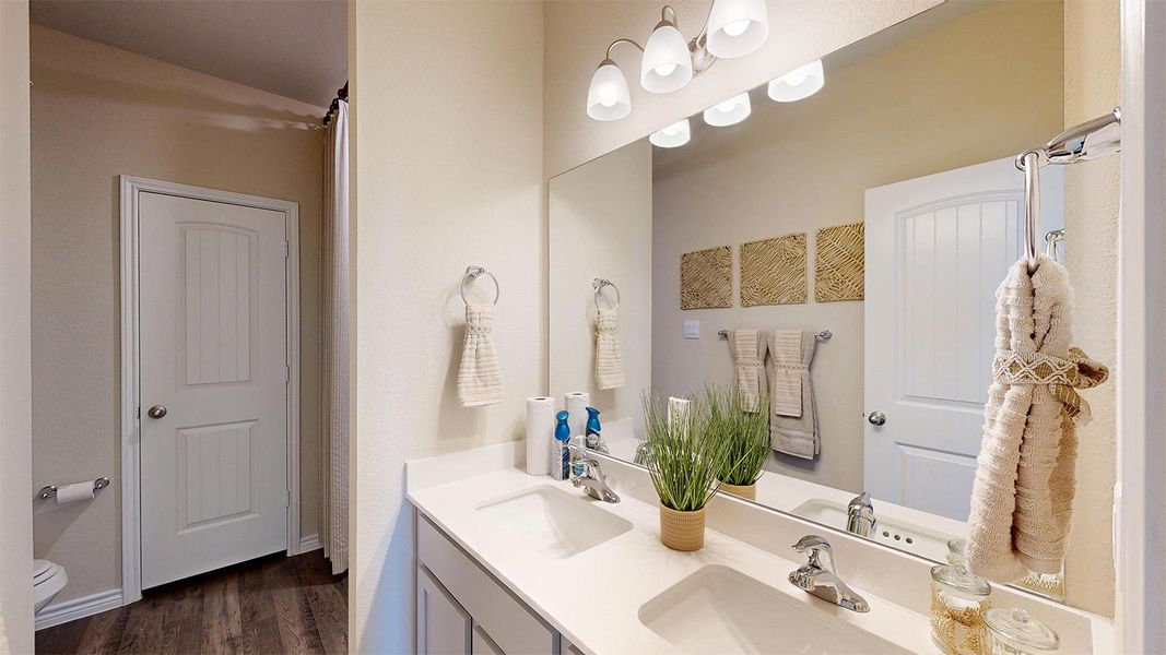 Bathroom featuring double vanity and dark wood-style flooring Bathroom featuring double vanity and dark wood-style flooring