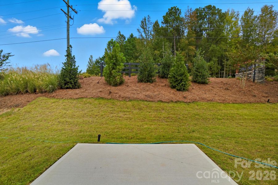 Natural landscape and outdoor views near Bellina in York (Image 35).