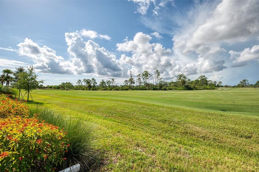 Natural landscape and outdoor views near in Venice (Image 60). Natural landscape and outdoor views near in Venice (Image 60).