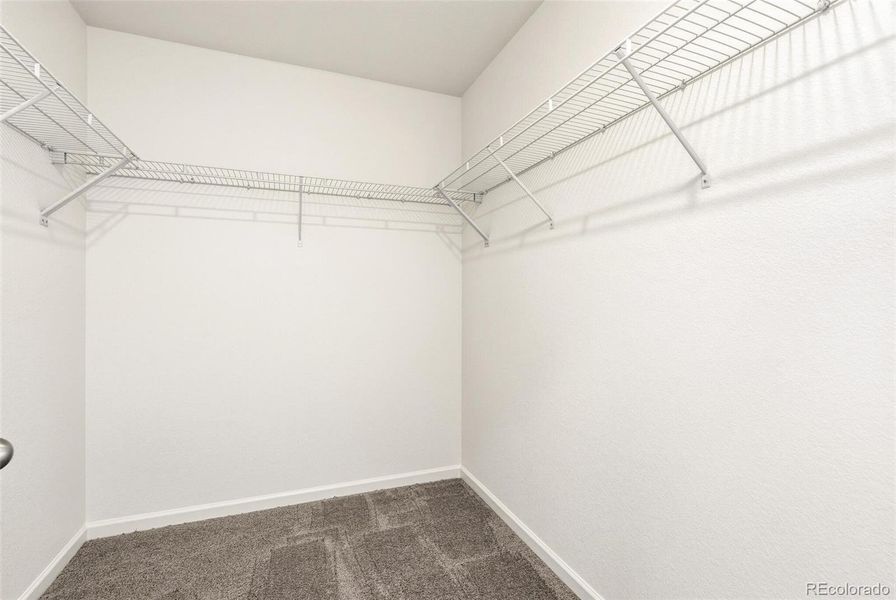 Spacious, unfurnished interior of a new home in Farmlore, Brighton (Image 23).