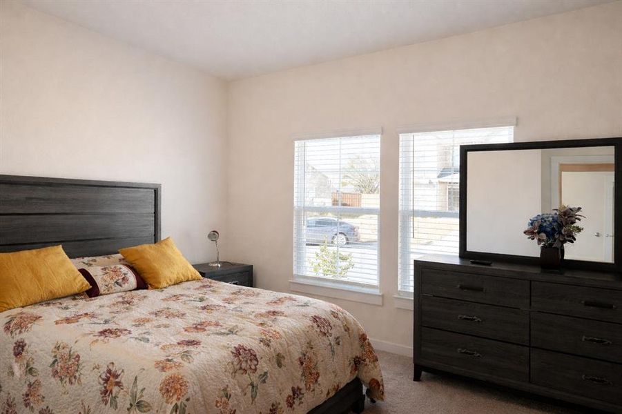 Carpeted bedroom featuring light-toned walls and two windows fitted with white horizontal blinds