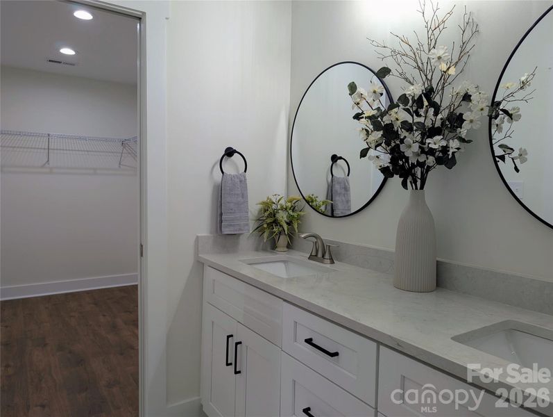 Ensuite bath cabinet looking toward large walk-in closet. Ensuite bath cabinet looking toward large walk-in closet.