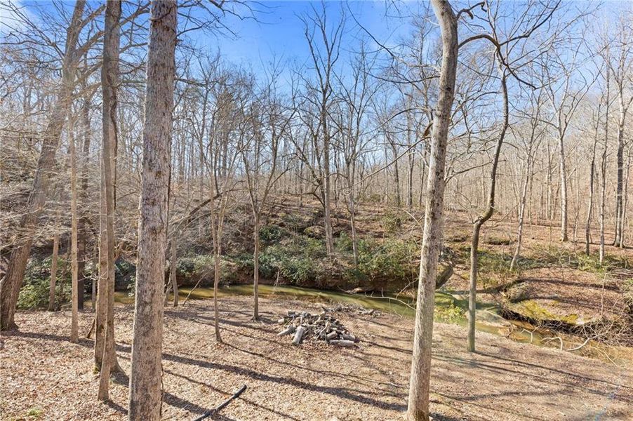 Natural landscape and outdoor views near  in Gainesville (Image 61).
